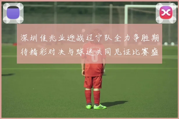 深圳佳兆业迎战辽宁队全力争胜期待精彩对决与球迷共同见证比赛盛况