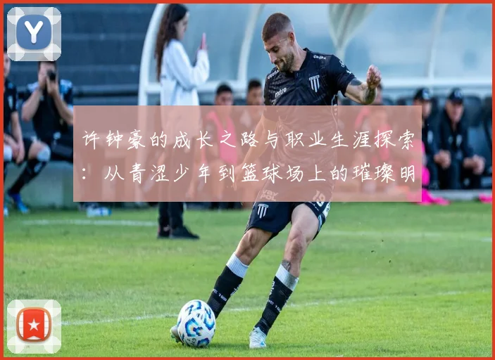 许钟豪的成长之路与职业生涯探索：从青涩少年到篮球场上的璀璨明星